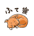 雑種犬きゃめたろー（個別スタンプ：11）