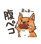 雑種犬きゃめたろー（個別スタンプ：14）