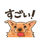 雑種犬きゃめたろー（個別スタンプ：16）