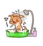 雑種犬きゃめたろー（個別スタンプ：17）