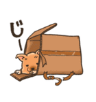 雑種犬きゃめたろー（個別スタンプ：19）