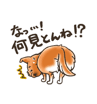 雑種犬きゃめたろー（個別スタンプ：24）