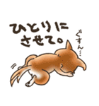 雑種犬きゃめたろー（個別スタンプ：26）