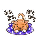 雑種犬きゃめたろー（個別スタンプ：27）