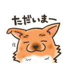 雑種犬きゃめたろー（個別スタンプ：28）