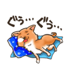 雑種犬きゃめたろー（個別スタンプ：29）
