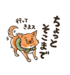 雑種犬きゃめたろー（個別スタンプ：30）