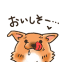 雑種犬きゃめたろー（個別スタンプ：31）
