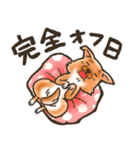 雑種犬きゃめたろー（個別スタンプ：34）