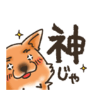 雑種犬きゃめたろー（個別スタンプ：35）