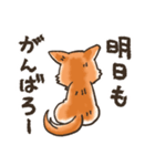 雑種犬きゃめたろー（個別スタンプ：37）