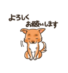 雑種犬きゃめたろー（個別スタンプ：39）