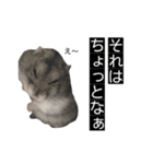 ハムのみつはしwithはなちゃん（個別スタンプ：4）