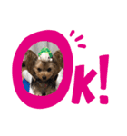 ココちゃんの挨拶（個別スタンプ：4）