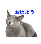 鈴子さんと倫子さん（個別スタンプ：1）
