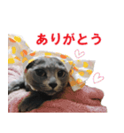 鈴子さんと倫子さん（個別スタンプ：3）