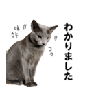 鈴子さんと倫子さん（個別スタンプ：5）