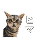 鈴子さんと倫子さん（個別スタンプ：7）