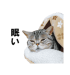 鈴子さんと倫子さん（個別スタンプ：9）