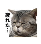 鈴子さんと倫子さん（個別スタンプ：10）