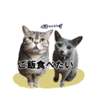 鈴子さんと倫子さん（個別スタンプ：11）
