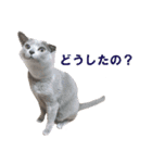 鈴子さんと倫子さん（個別スタンプ：15）