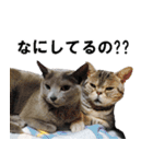 鈴子さんと倫子さん（個別スタンプ：16）