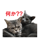 鈴子さんと倫子さん（個別スタンプ：17）