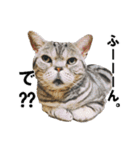 鈴子さんと倫子さん（個別スタンプ：22）