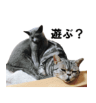 鈴子さんと倫子さん（個別スタンプ：23）