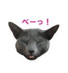鈴子さんと倫子さん（個別スタンプ：24）