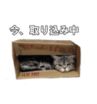 鈴子さんと倫子さん（個別スタンプ：25）