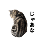 鈴子さんと倫子さん（個別スタンプ：32）