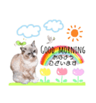 ベル＆モコ＆その仲間たち☆（個別スタンプ：1）