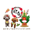 ベル＆モコ＆その仲間たち☆（個別スタンプ：9）
