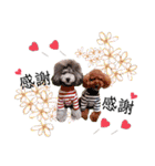 ベル＆モコ＆その仲間たち☆（個別スタンプ：10）