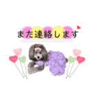 ベル＆モコ＆その仲間たち☆（個別スタンプ：21）
