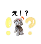 ベル＆モコ＆その仲間たち☆（個別スタンプ：22）