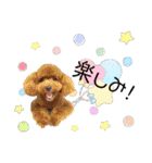 ベル＆モコ＆その仲間たち☆（個別スタンプ：27）
