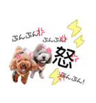 ベル＆モコ＆その仲間たち☆（個別スタンプ：31）