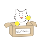 箱入っておねがいネコ（個別スタンプ：5）