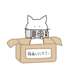 箱入っておねがいネコ（個別スタンプ：9）