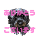 らみちゃん2（個別スタンプ：3）