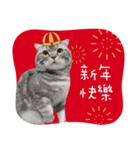 猫のベンの日常生活3（個別スタンプ：1）