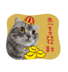 猫のベンの日常生活3（個別スタンプ：2）