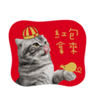 猫のベンの日常生活3（個別スタンプ：3）