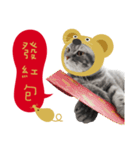 猫のベンの日常生活3（個別スタンプ：4）