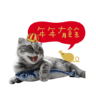 猫のベンの日常生活3（個別スタンプ：6）