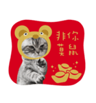 猫のベンの日常生活3（個別スタンプ：7）