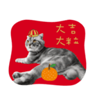 猫のベンの日常生活3（個別スタンプ：8）